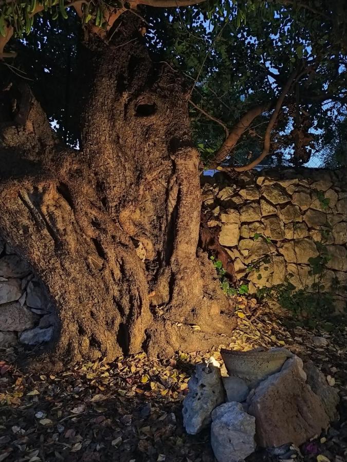 הוילה אבולה Casotto Il Carrubo, A 100 Mt Dal Mare! מראה חיצוני תמונה