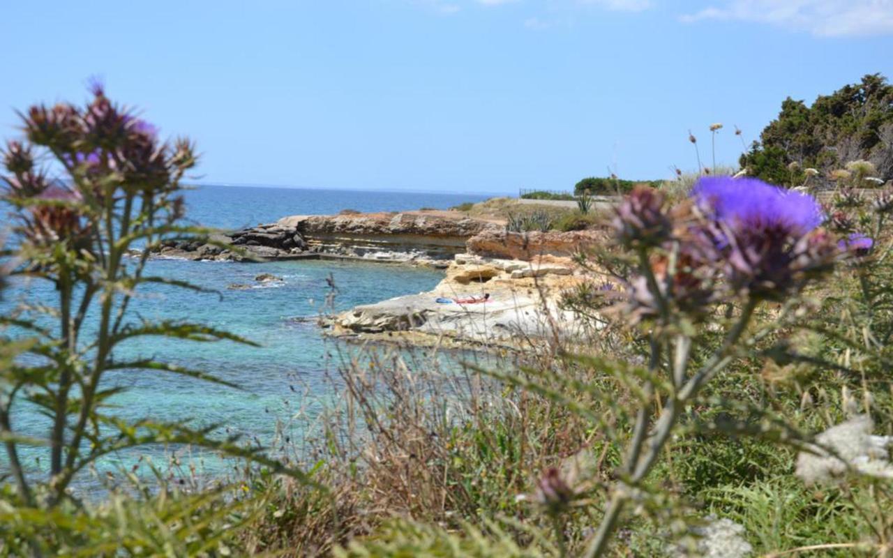 הוילה אבולה Casotto Il Carrubo, A 100 Mt Dal Mare! מראה חיצוני תמונה
